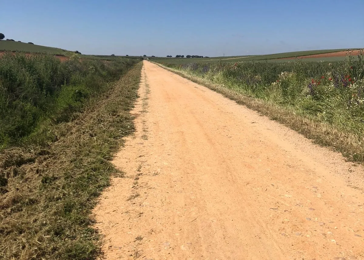 Limpian todos los caminos de Calvarrasa de Abajo