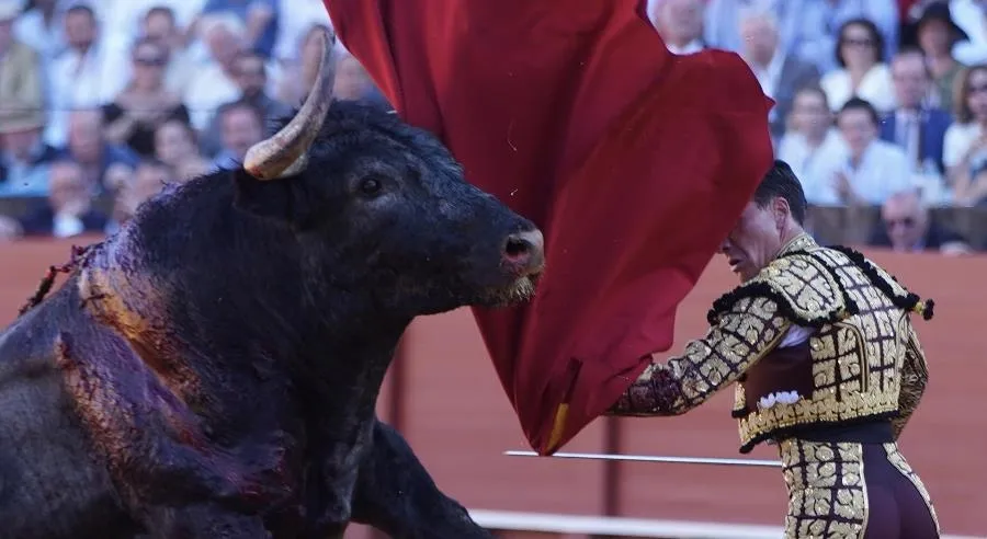 Argumentan que el pueblo no necesita permiso de nadie para expresarse culturalmente como le parece conveniente. Foto en la Maestranza de Eduardo Briones - EP