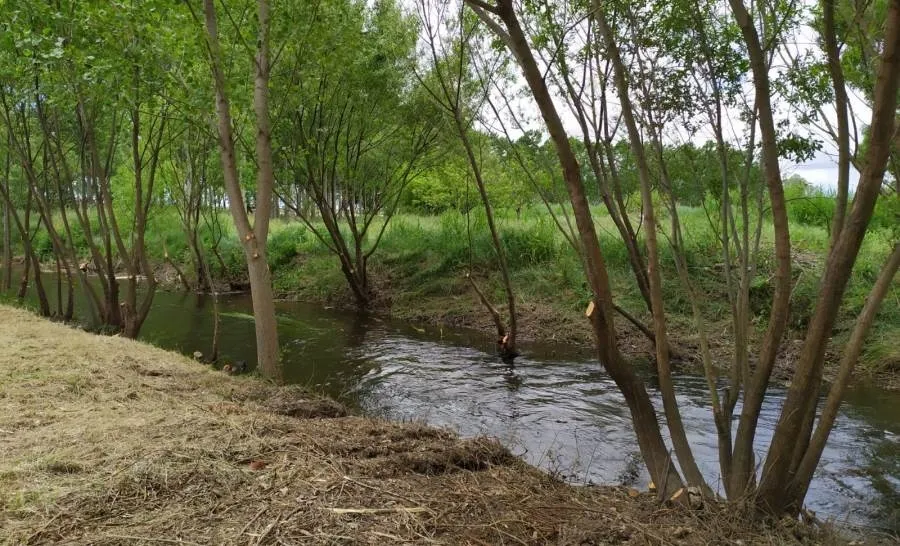 El objetivo de estas actuaciones es la mejora de las condiciones hidrológicas de cauces en la provincia de Salamanca
