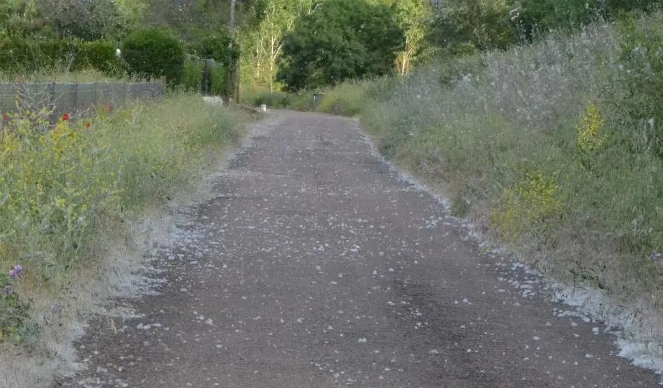 Propuesta una subvención para el arreglo del camino hacia Ivanrey por las Huertas de Santa Cruz  