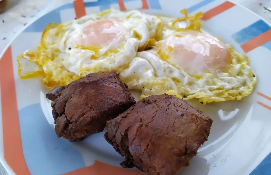 Celebrando la Fase 1