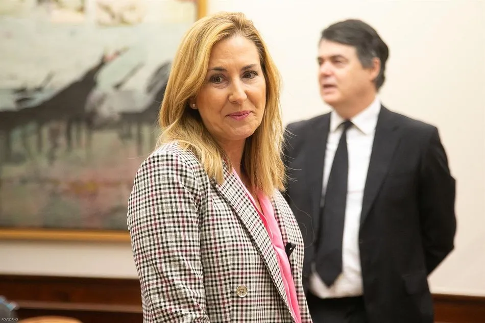 La vicesecretaria de Organización del PP y presidenta del partido en Navarra, Ana Beltrán Villalba. En Madrid (España) a 23 de abril de 2020. - Congreso de los Diputados