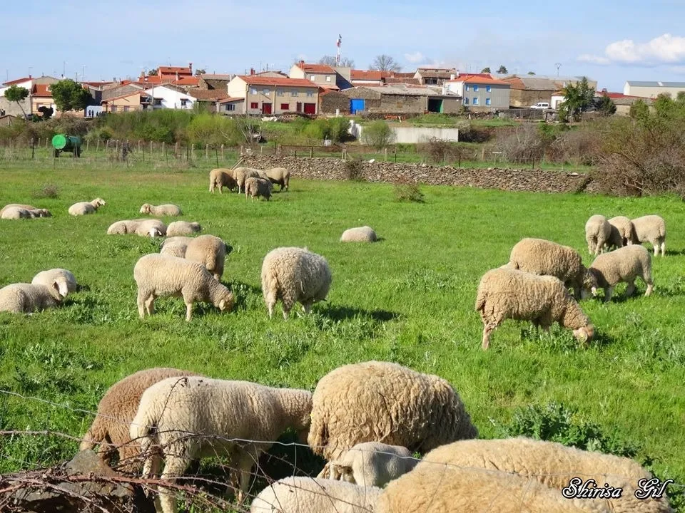 Foto 5 - Las vivencias del confinamiento en El Sahugo  