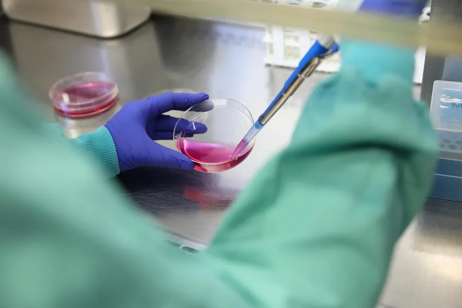 Una bióloga trabaja en un laboratorio del Centro de Biología Molecular Severo Ochoa | EP