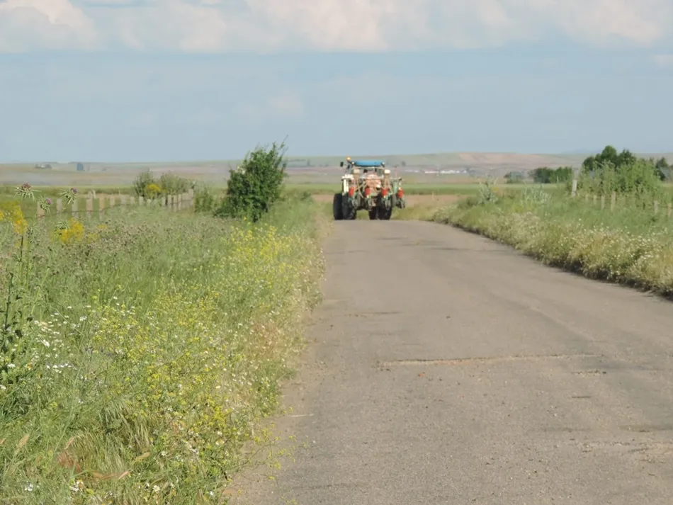 Foto 8 - Aldearrubia y Villoruela ver&aacute;n mejorada la carretera que une ambas localidades