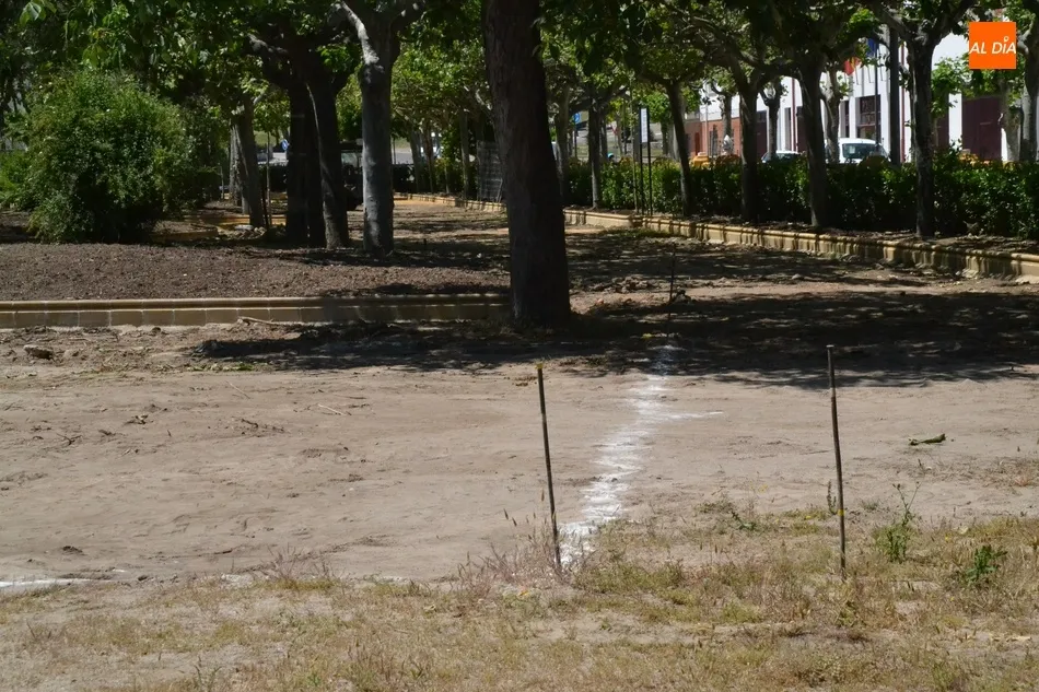 Foto 4 - El Parque de La Glorieta incorporar&aacute; un peque&ntilde;o campo de c&eacute;sped artificial  