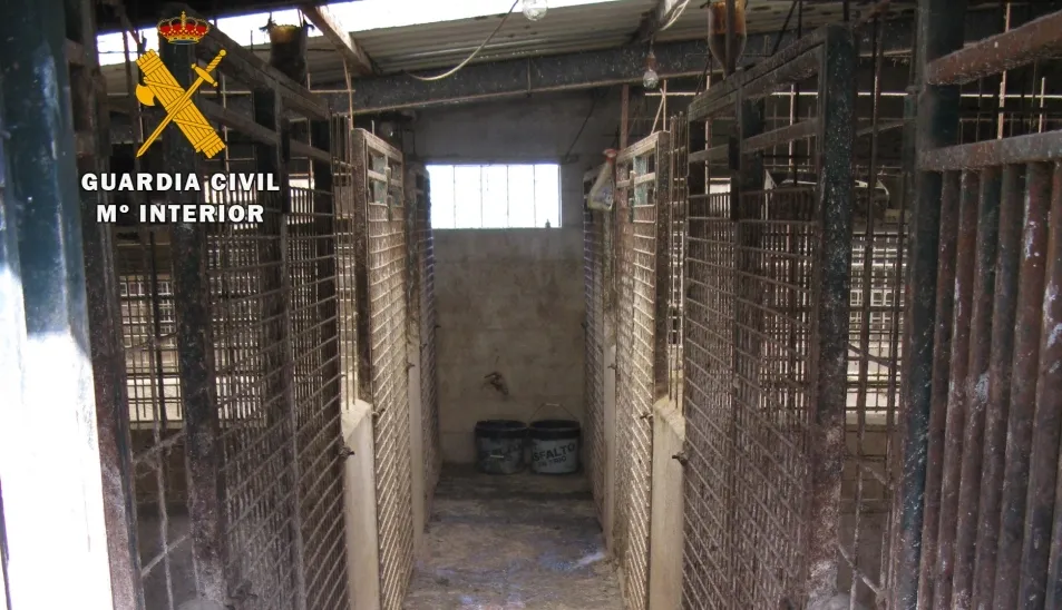 Foto 2 - Investigados un vecino de Linares de Riofr&iacute;o y un veterinario por falsificar documentos de perros...