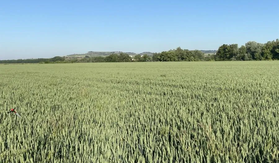 El personal de las cooperativas está cumpliendo estrictamente con las medidas de prevención sanitaria por el coronavirus, han asegurado desde Urcacyl