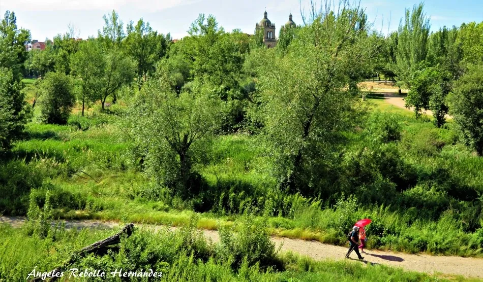 Los caminos abiertos