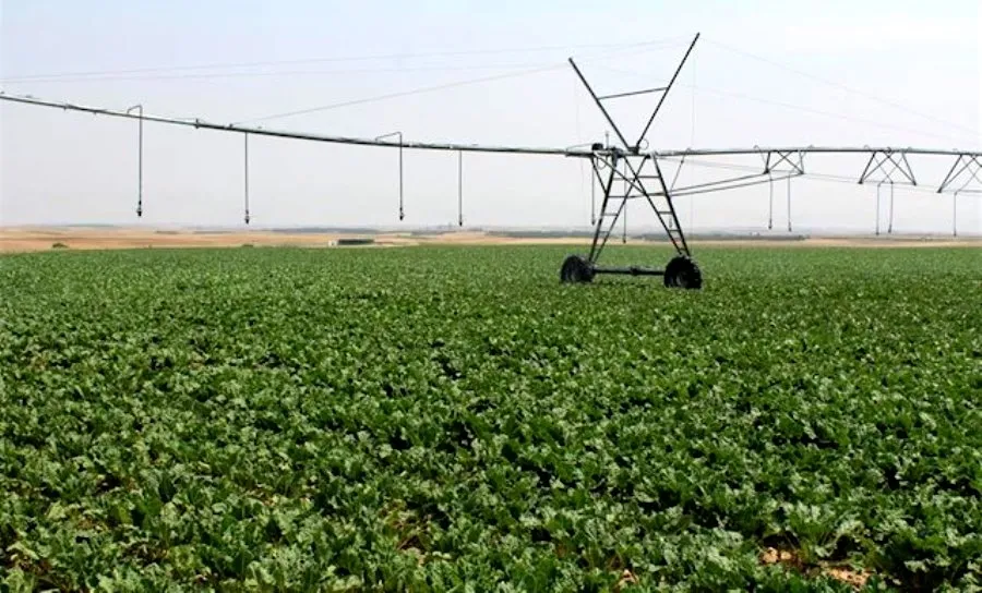Duro varapalo de 693 millones al campo de Castilla y León, si se confirma el recorte...