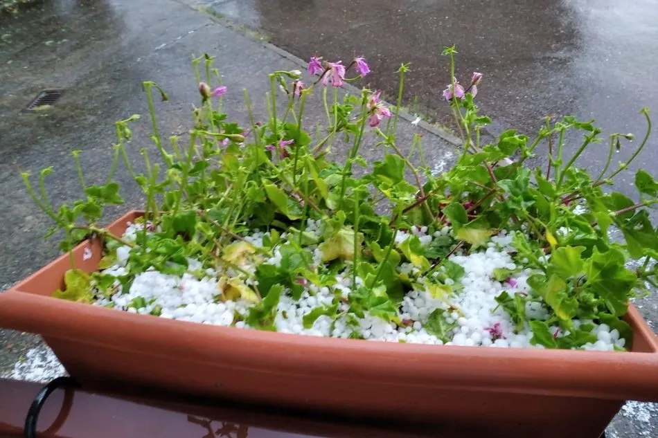 Foto 4 - Una fuerte tormenta de lluvia y granizo inunda varias viviendas&nbsp;en Boada  