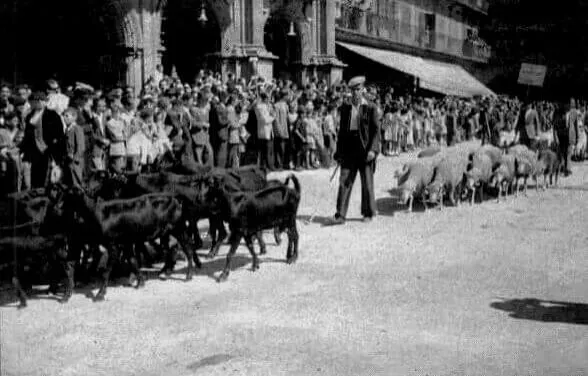 Foto 5 - La Plaza Mayor, el coraz&oacute;n de la ciudad