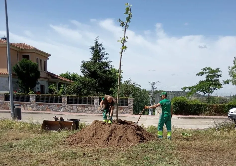 El Ayuntamiento adecenta varias zonas verdes de la ciudad  