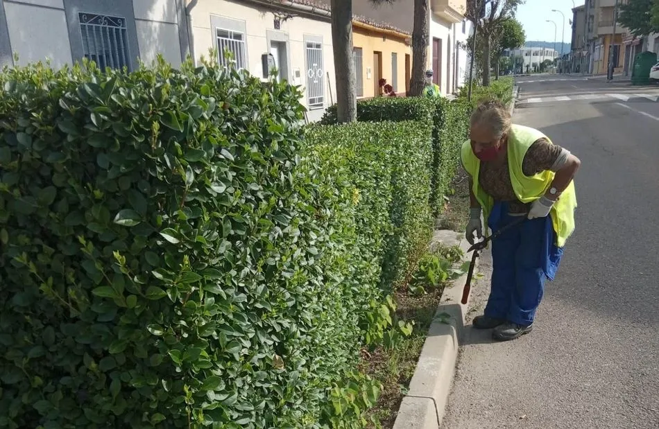 Foto 3 - El Ayuntamiento adecenta varias zonas verdes de la ciudad  