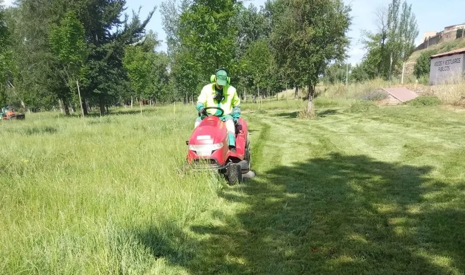 Foto 4 - El Ayuntamiento adecenta varias zonas verdes de la ciudad  