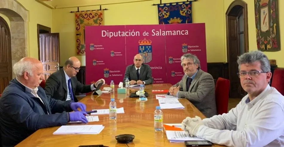 Pleno de la Diputación Provincial