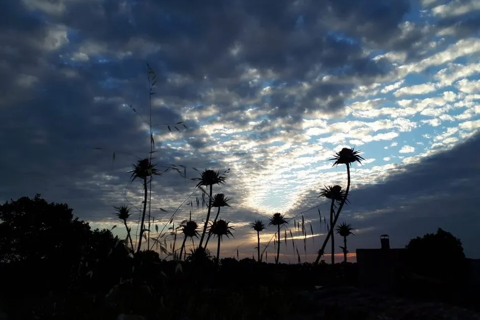 Foto 2 - &ldquo;Cielo empedrado, suelo mojado"  