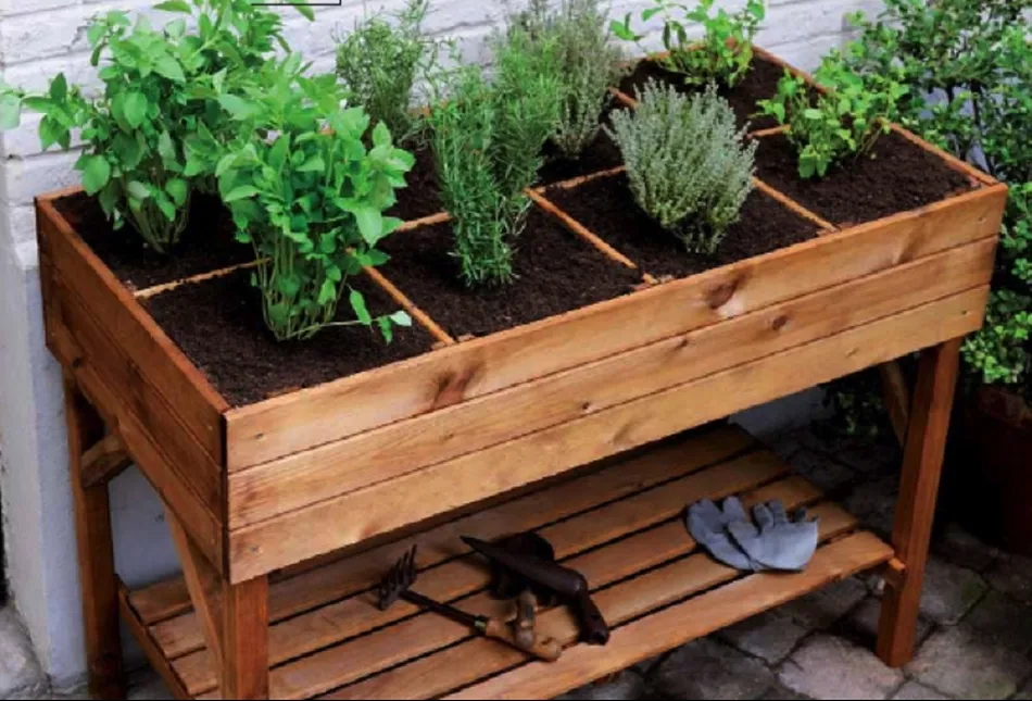 Huerto en la terraza