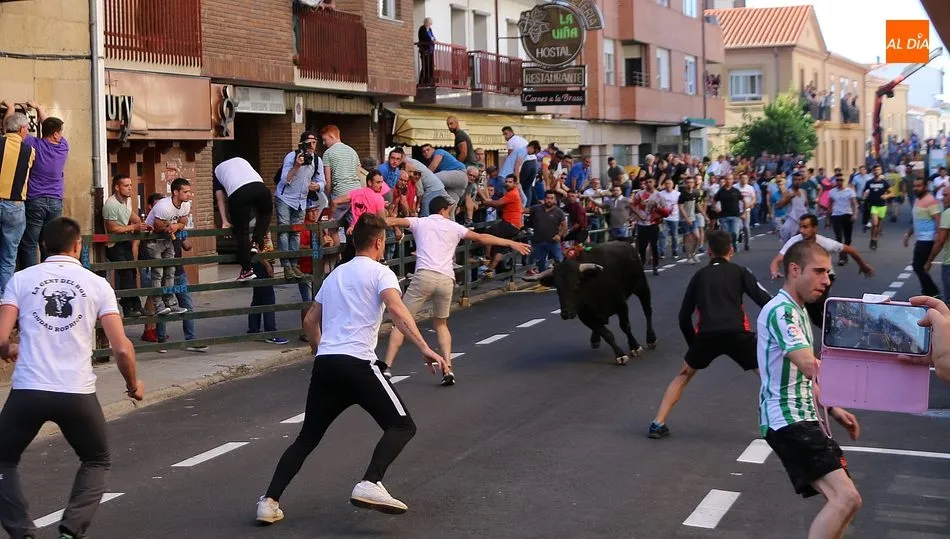 Mañana sábado iba a tener lugar el VI Toro de Cajón del pre-Corpus, momento que supone el pistoletazo de salida a las fiestas grandes de Vitigudino / CORRAL