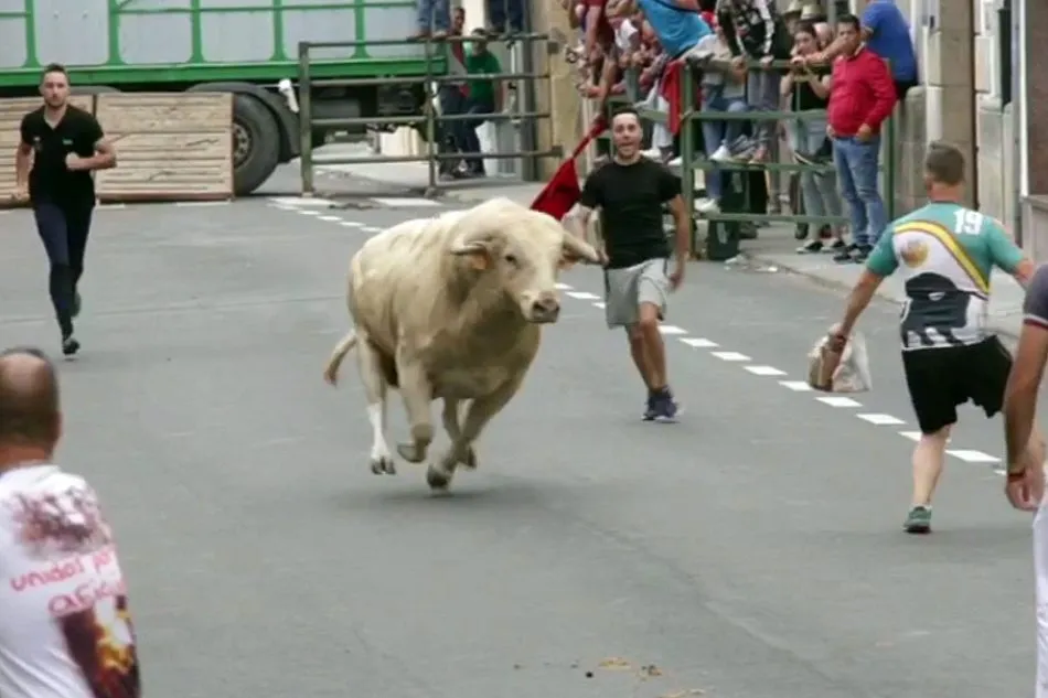 Foto 2 - La Asociaci&oacute;n Taurina Villa de Vitigudino edita un v&iacute;deo para recordar el Toro de Caj&oacute;n  