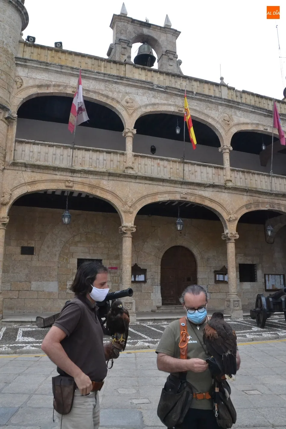 Foto 4 - Unas rapaces pasan a encargarse del control de las palomas en Ciudad Rodrigo  