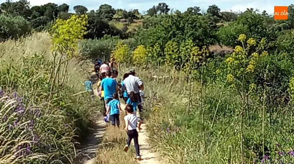 Foto 6 - M&aacute;s de un centenar de senderistas colaboran en la Marcha Solidaria por los afectados del Covid-19