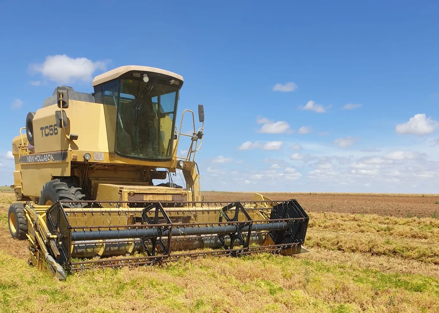 Siega de la lenteja en la Armuña. / Imagen facilitada por Nicolás Armenteros.