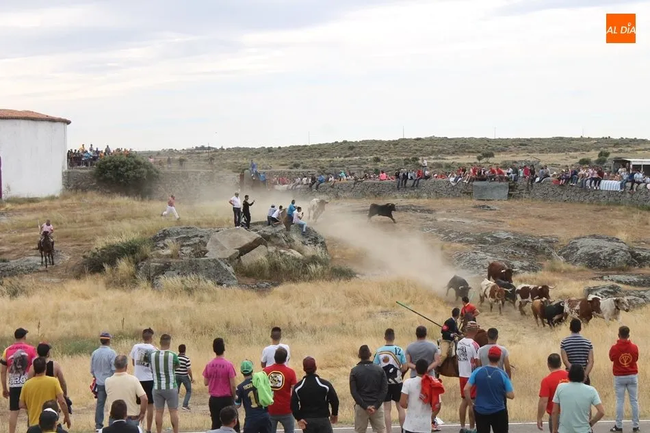 Imagen de los espantos de los Corpus de Ledesma del año pasado