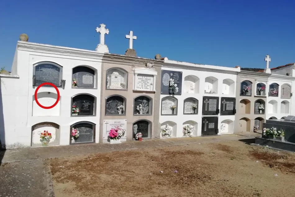 Foto 5 - Un nido en el cementerio de Santib&aacute;&ntilde;ez de B&eacute;jar crea la alarma entre los vecinos por su parecido ...