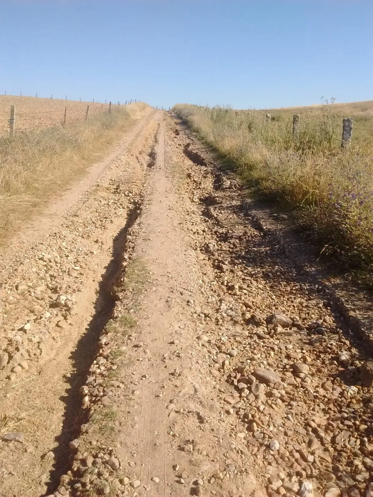 Foto 3 - El PSOE apremia a la Diputaci&oacute;n a cumplir su compromiso de arreglar los caminos de Mart&iacute;n de...