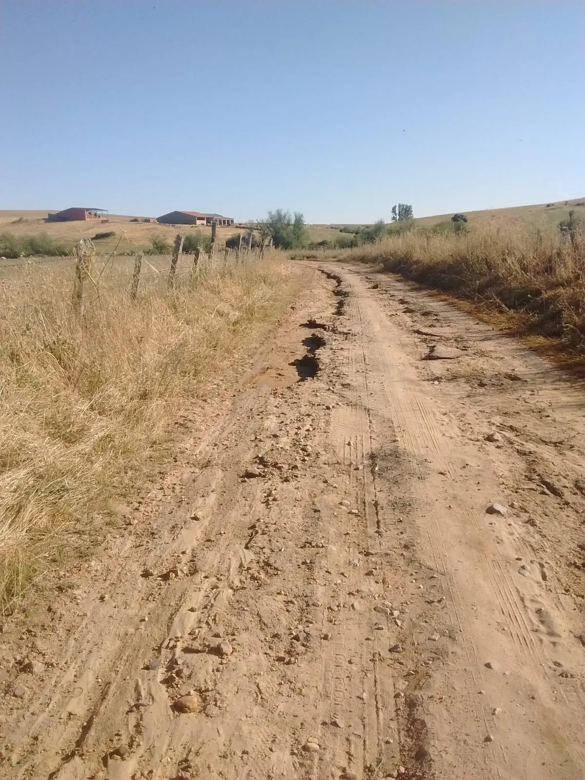 Foto 4 - El PSOE apremia a la Diputaci&oacute;n a cumplir su compromiso de arreglar los caminos de Mart&iacute;n de...