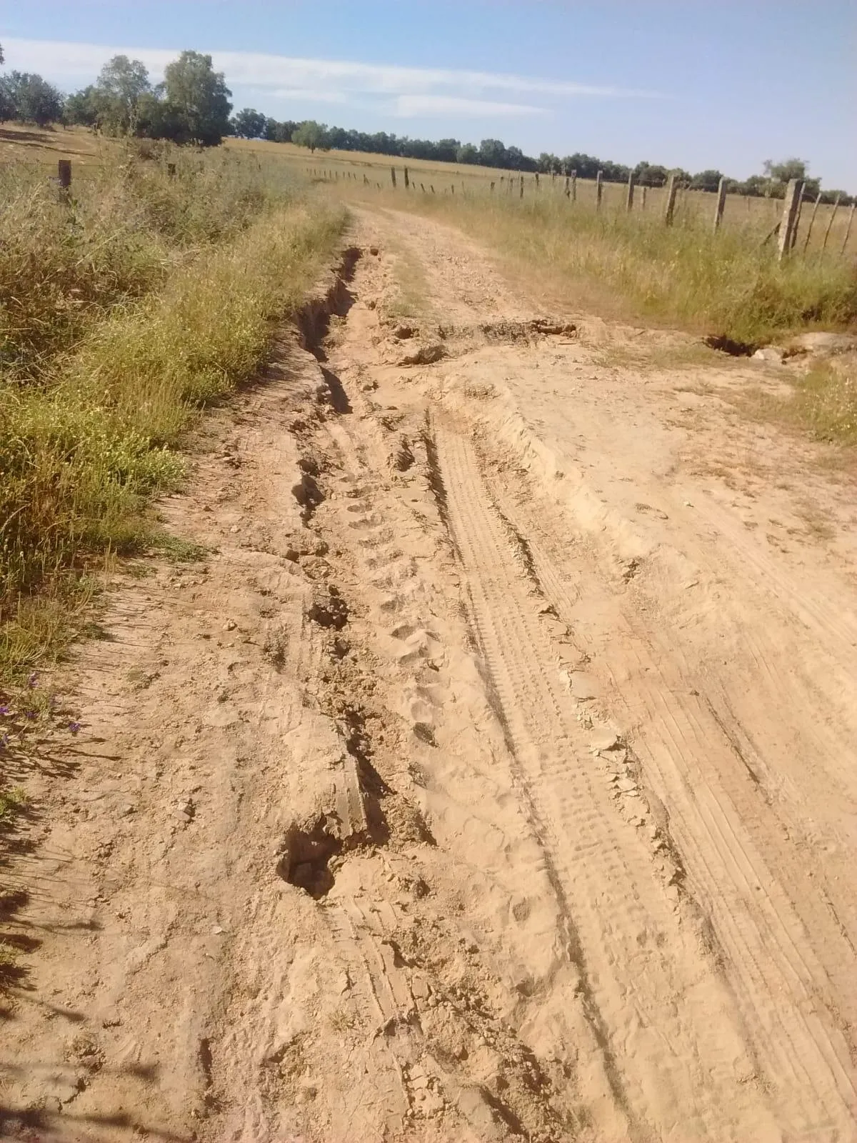 Foto 5 - El PSOE apremia a la Diputaci&oacute;n a cumplir su compromiso de arreglar los caminos de Mart&iacute;n de...