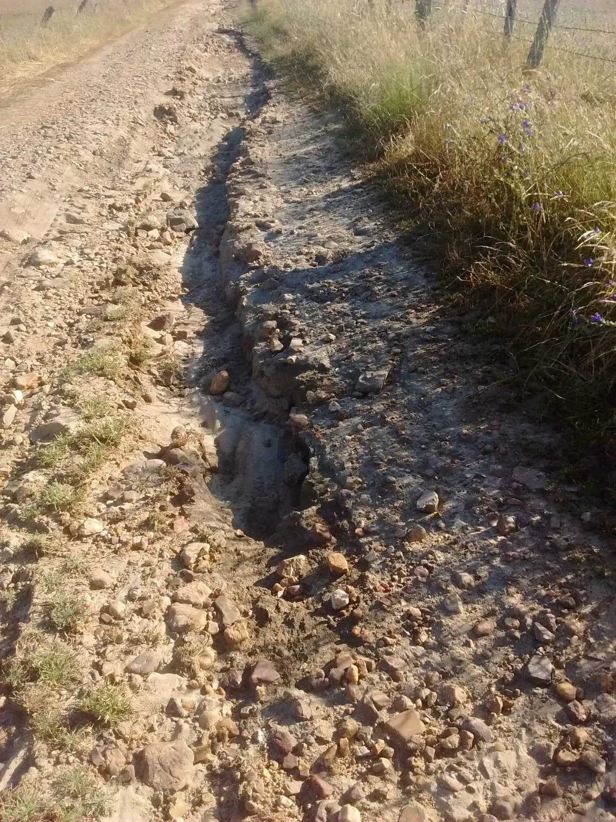 Foto 2 - El PSOE apremia a la Diputaci&oacute;n a cumplir su compromiso de arreglar los caminos de Mart&iacute;n de...