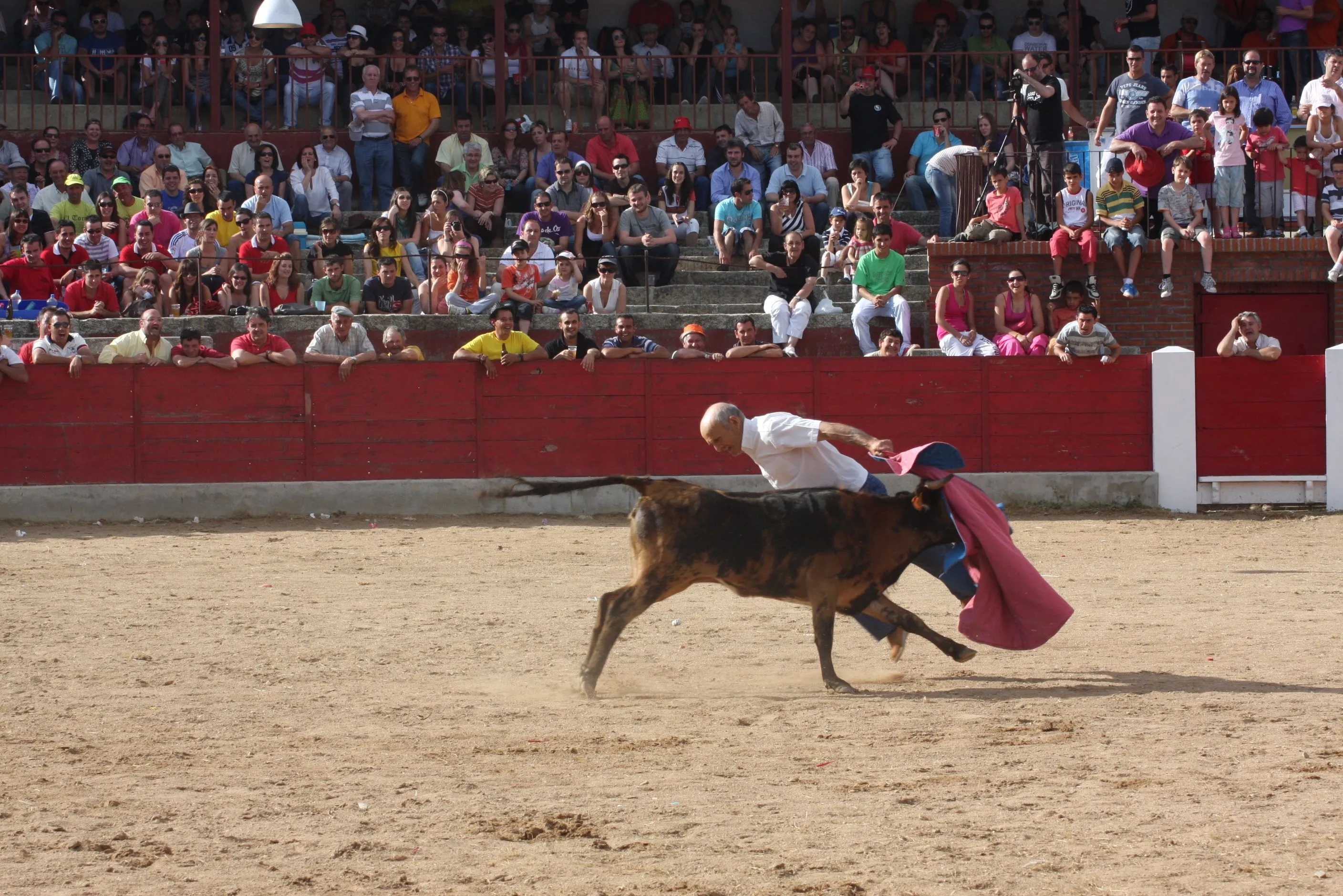 Foto 2 - &iexcl;Aquellos Corpus en Vitigudino!  