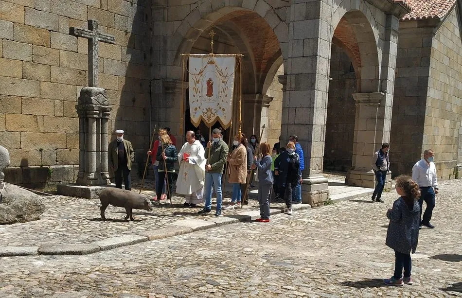 Foto 6 - La Alberca bendice al marrano de San Ant&oacute;n&hellip;&nbsp;con distancia social