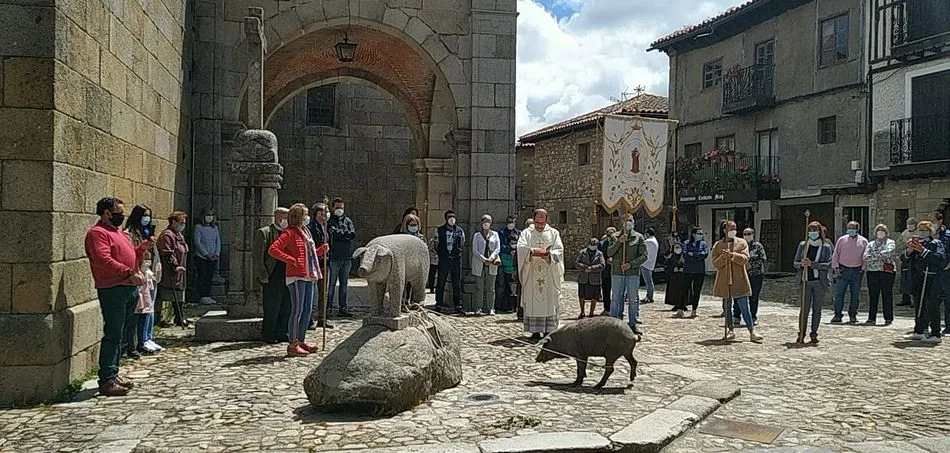 Foto 5 - La Alberca bendice al marrano de San Ant&oacute;n&hellip;&nbsp;con distancia social