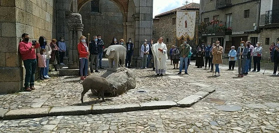 Foto 4 - La Alberca bendice al marrano de San Ant&oacute;n&hellip;&nbsp;con distancia social