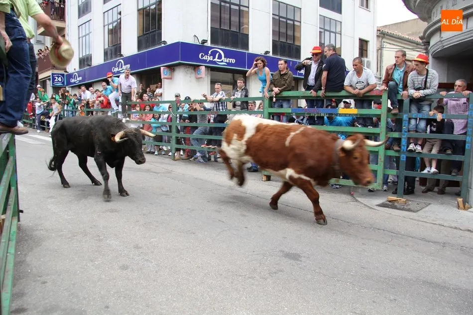 Foto 11 - &iexcl;Aquellos Corpus en Vitigudino!  