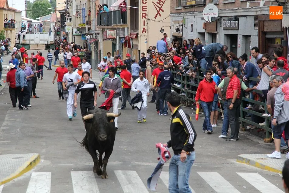 Foto 10 - &iexcl;Aquellos Corpus en Vitigudino!  