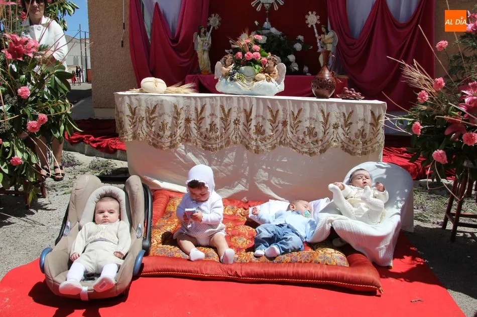 Foto 2 - &iexcl;Aquellos Corpus en Vitigudino!  