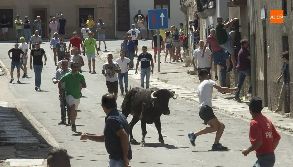 Imagen del encierro veraniego del año pasado en El Bodón | Foto Adrián Martín