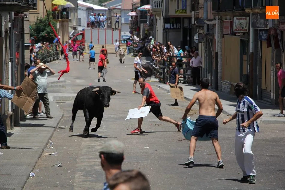 Foto 8 - &iexcl;Aquellos Corpus en Vitigudino!  