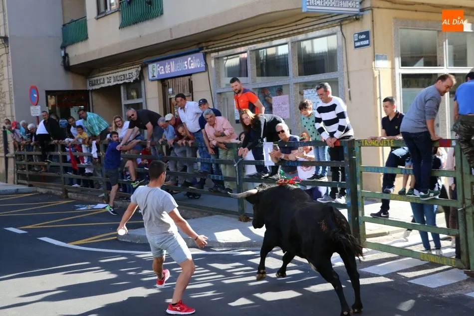 Foto 10 - &iexcl;Aquellos Corpus en Vitigudino!  