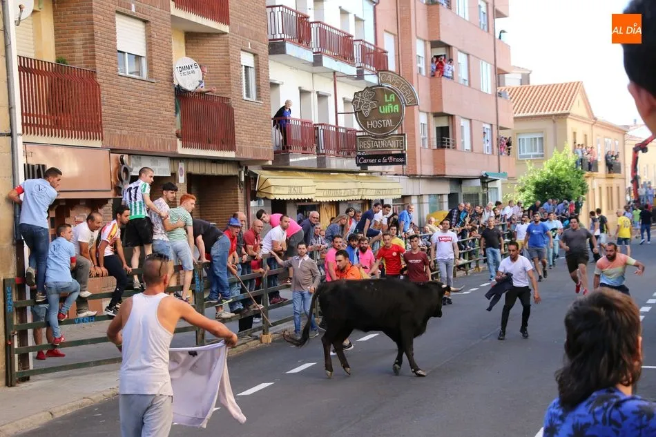 Foto 9 - &iexcl;Aquellos Corpus en Vitigudino!  