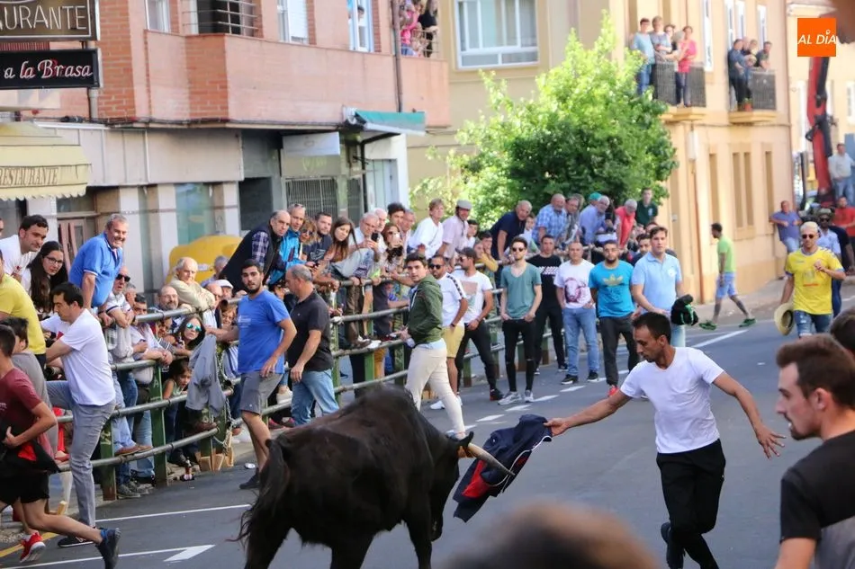 Foto 8 - &iexcl;Aquellos Corpus en Vitigudino!  