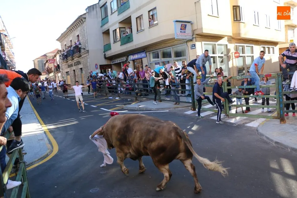 Foto 7 - &iexcl;Aquellos Corpus en Vitigudino!  