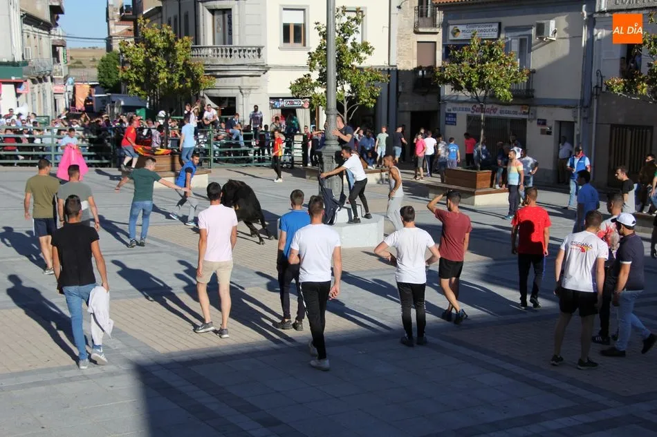 Foto 6 - &iexcl;Aquellos Corpus en Vitigudino!  