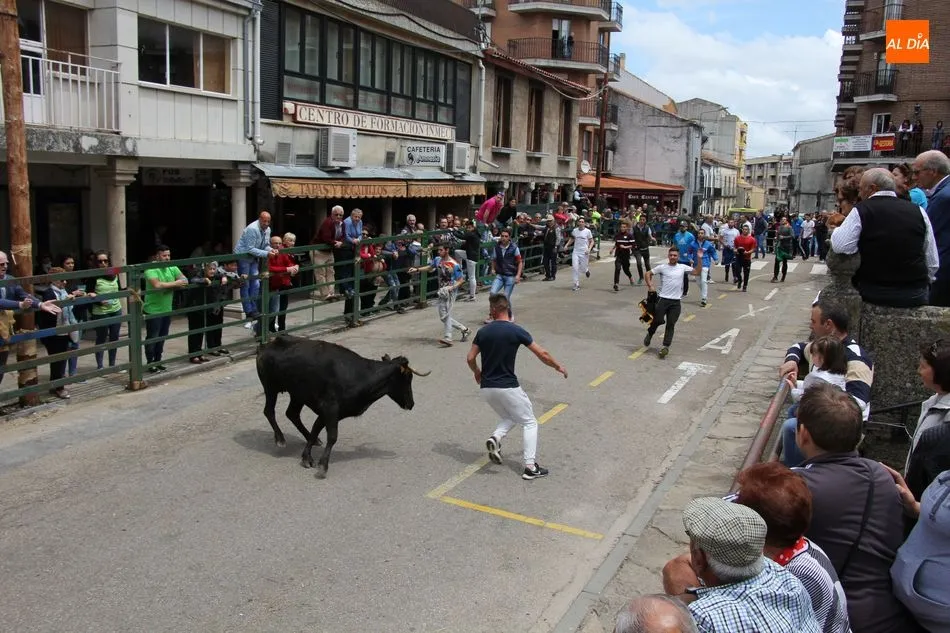 Foto 4 - &iexcl;Aquellos Corpus en Vitigudino!  