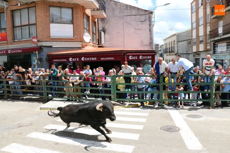 Foto 2 - &iexcl;Aquellos Corpus en Vitigudino!  
