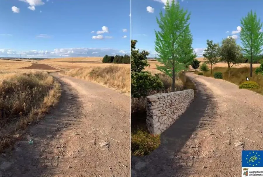 Foto 5 - Cerca de tres millones de euros transformar&aacute;n la V&iacute;a de la Plata en un corredor verde a su paso...